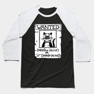 Schrödinger's Cat Baseball T-Shirt